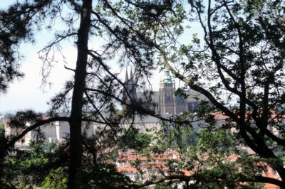 Pražský hrad z Petřína