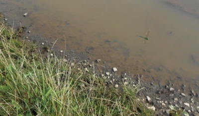 Svatováclavská procházka