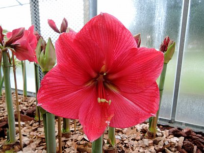 Pro radost všem ženám k dnešnímu svátku.