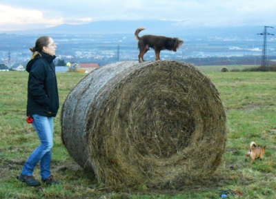 Fotoreportáž: Obyčejný 17. listopad
