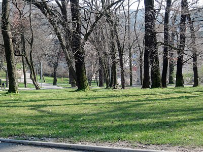 Slunné odpoledne v Klamovce