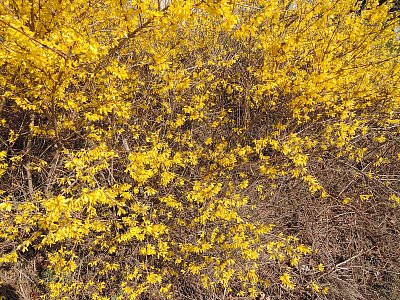 Svítí mi u stanice autobusu