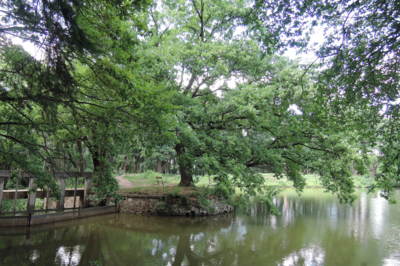 Podleský rybník-Praha-Dubeč