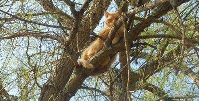 Jaro v zámeckých parcích