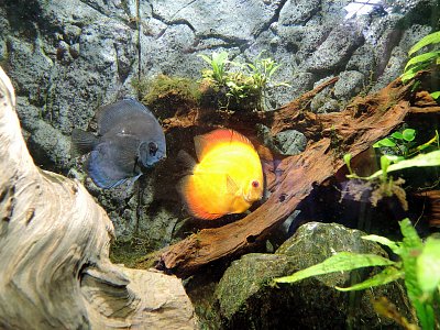 I my se rády fotíme!