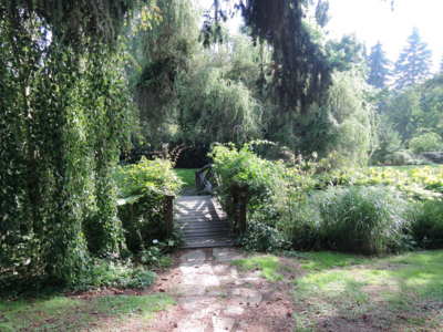 Přejděte po mně, jsem tu pro vás*