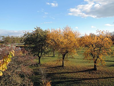 Podzim na břevnovské pláni