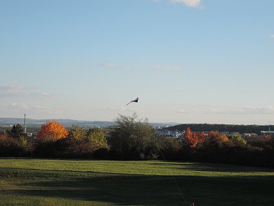Pouštění draků dnes odpoledne v parku Ladronka