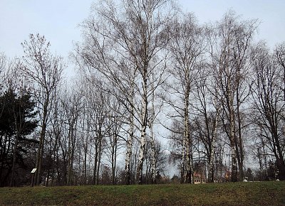 Včerejší odpoledne v parku u Ladronky