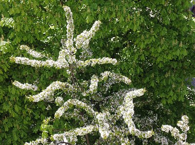 Radostné a klidné Velikonoce