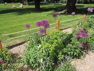 Dnes odpoledne v Klamovce