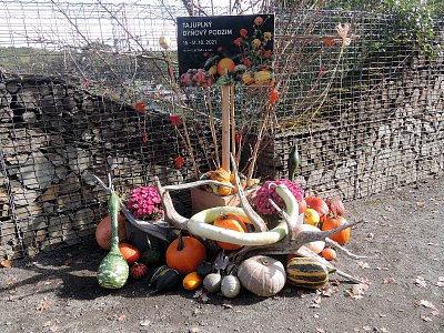 Pozvánka na aranžmá z dýní v Botanické zahradě v Troji