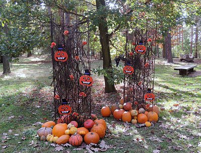 Jedno z aranžmá dýní v Botanické zahradě v Troji