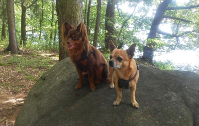 Úplně obyčejná dovolená