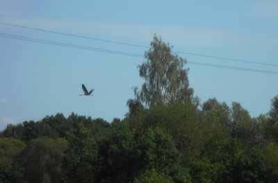 Úplně obyčejná dovolená