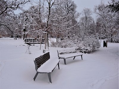 Zima v parku