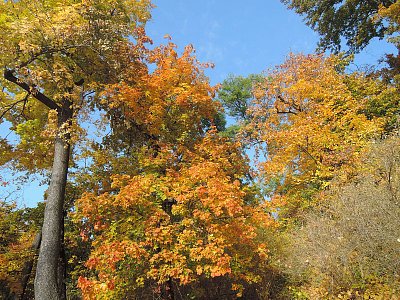 Podzim v zahradě Kinských