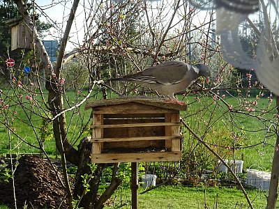 Dnes ráno za oknem...