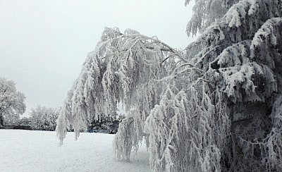 Dneska to spadlo a přežila jsem...