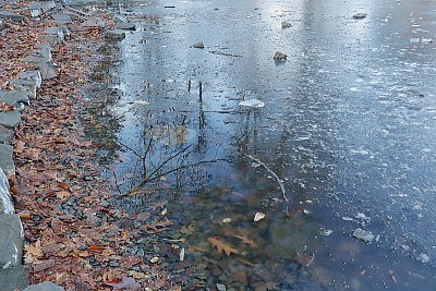 Dno vypuštěného jezírka