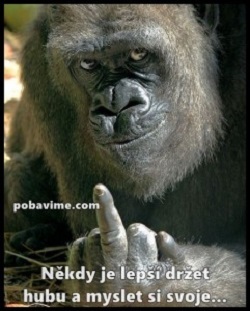 Dobrá rada nad zlato