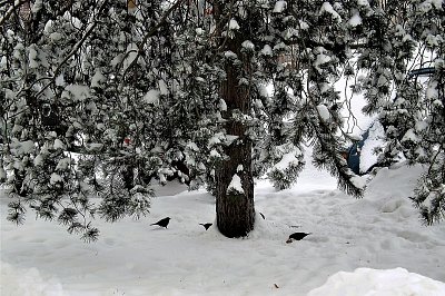 A zima je tu...      *