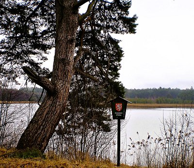 Přírodní rezervace Hradčanské rybníky  *