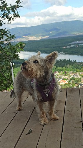 Na vyhlídce pod hradem Hněvín