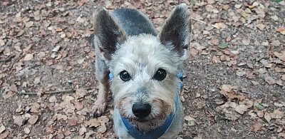 V Krušných horách