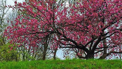 Příroda se probouzí