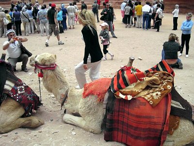 Je libo velblouda? *