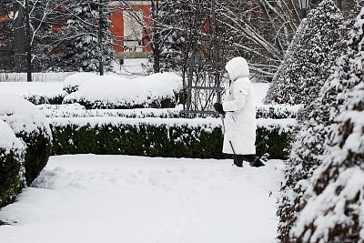 Bílá paní v parku...