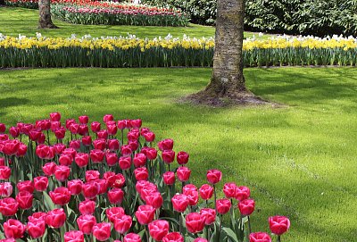 Nizozemsko nebo Holandsko? - část 2.