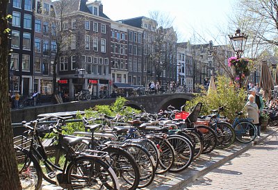 Všudypřítomná kola