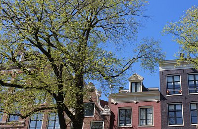 Zajímavé štíty domů