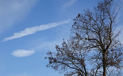 Vzácný roudnický úkaz *