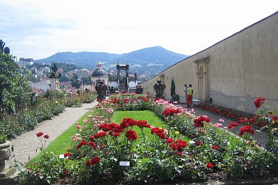 Růžová zahrada v Děčíně