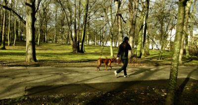 Předjaří v Teplicích