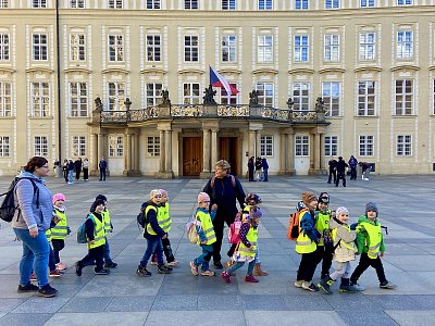 Kuřátka, aneb naše naděje *