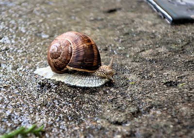 Běžím jako o závod...