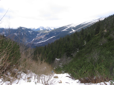 Cesta na Štefáničku