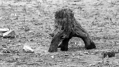 Podvodní příšera*