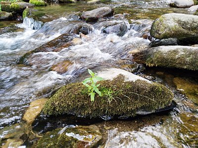 Teče voda, teče, po kameni skáče ...