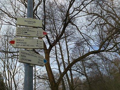 Rozkoš - takový stav můžete zažít na okraji Havlíčkova Brodu