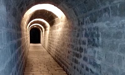 O novém životě z půjčovny