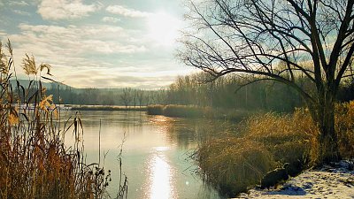 Únor převzal vládu