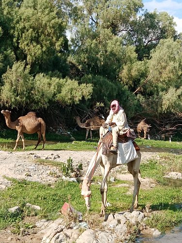 Setkání s beduinem