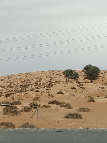 Cestou z Dubaje do Ras Al Khaimah