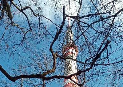 Výlet na Bukovou horu