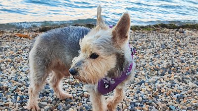 Tlapky jsem si nesmočil...